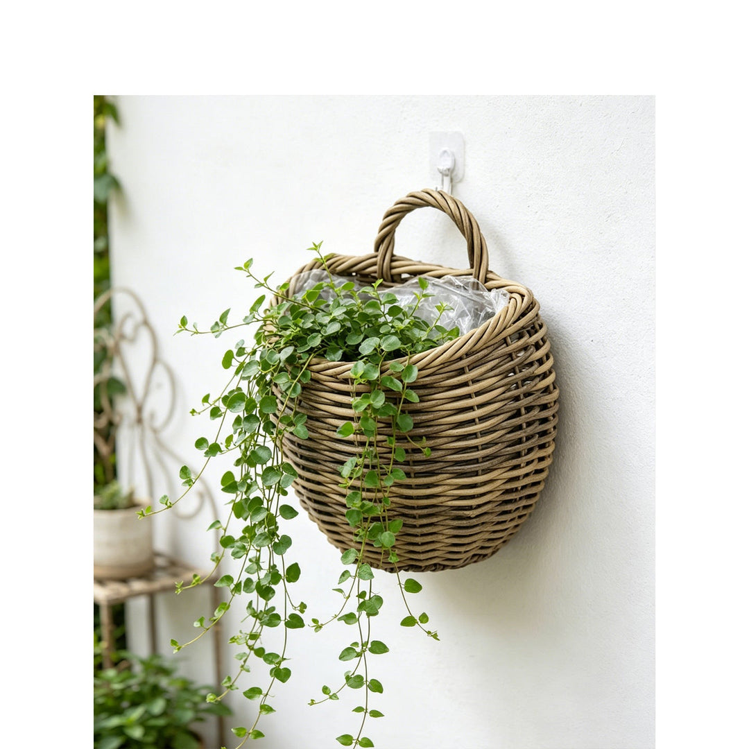Presentation basket