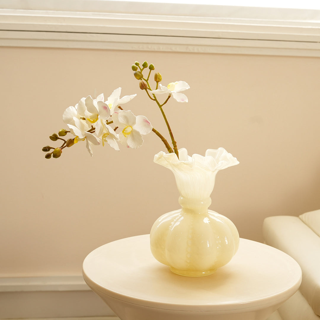 Elegant Orchid Stems