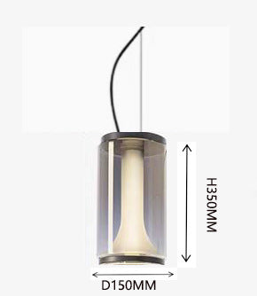 Stylish modern pendant light