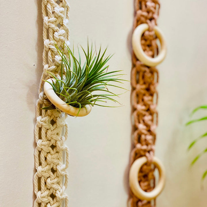 Macrame Wall Plant Holder