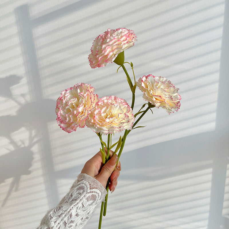 Realistic Carnation Flower Stem