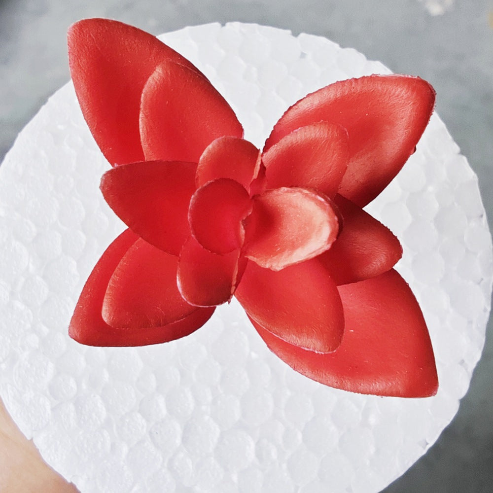 Decorative Succulent Stones