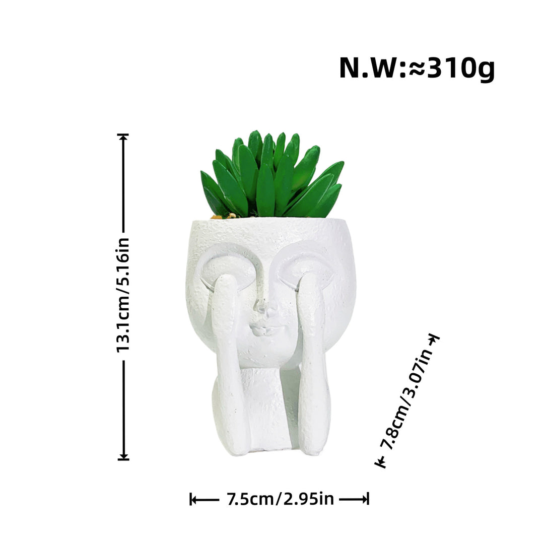 Plant pot with face motif