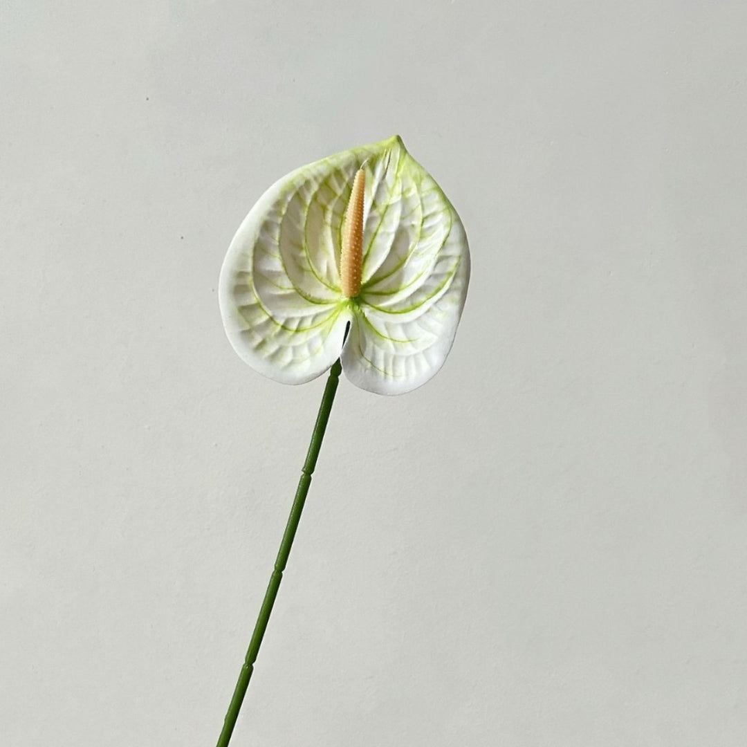 Elegant Orchid Floral Stem