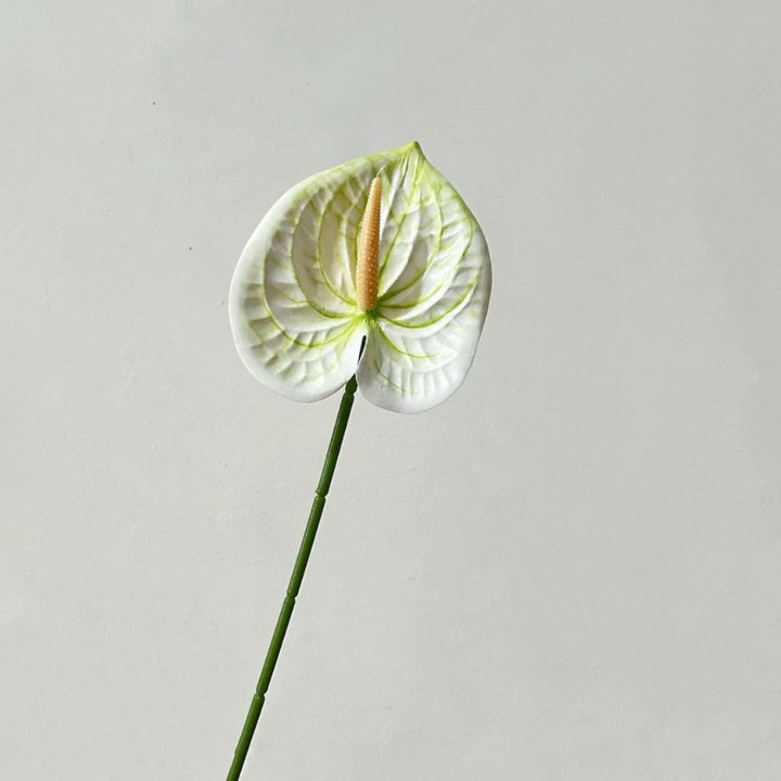 Elegant Orchid Floral Stem