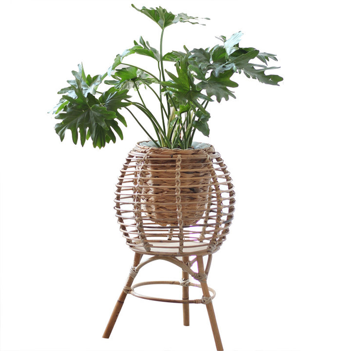 Beef Basket Chair