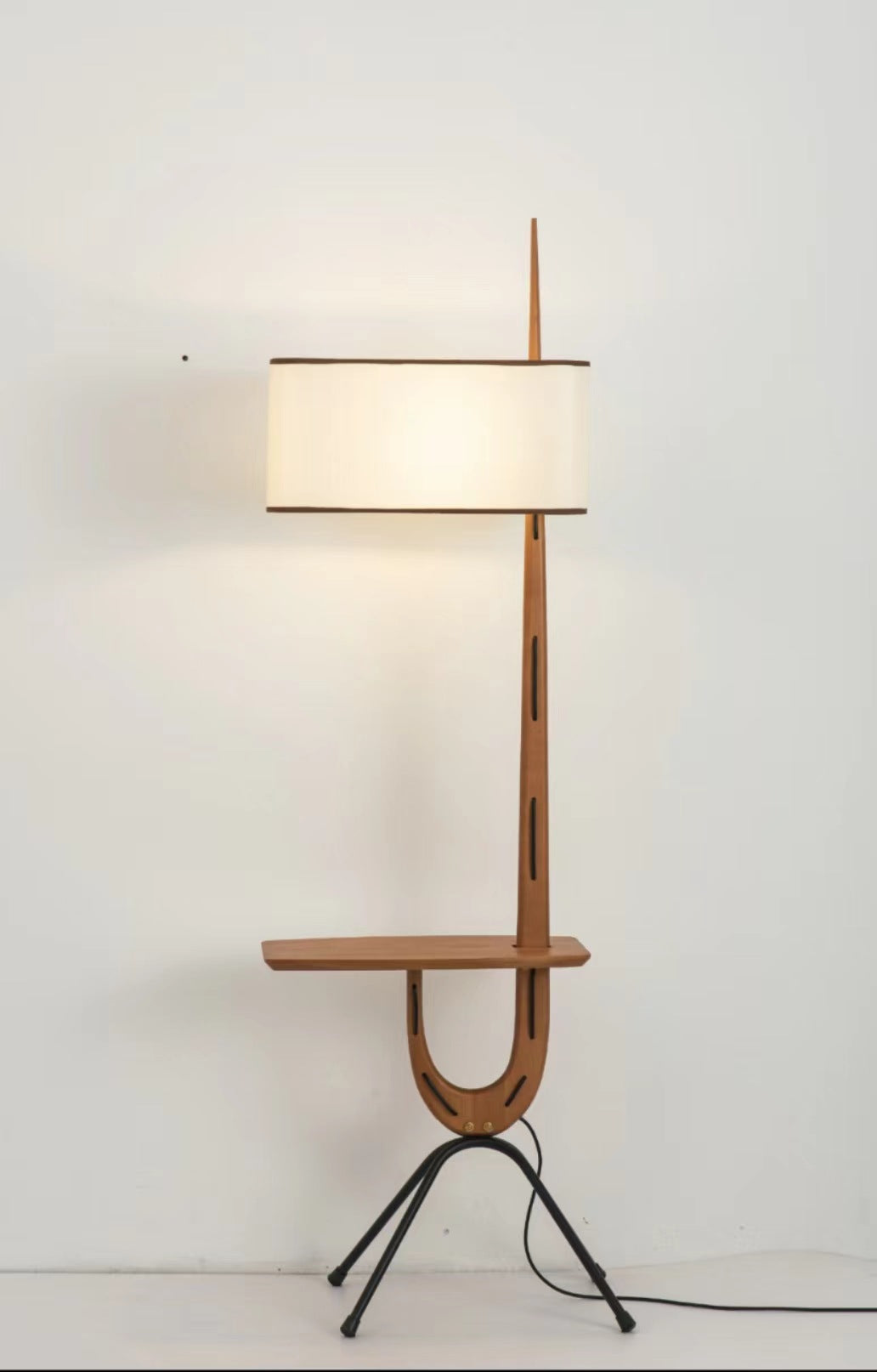Modern Floor Lamp