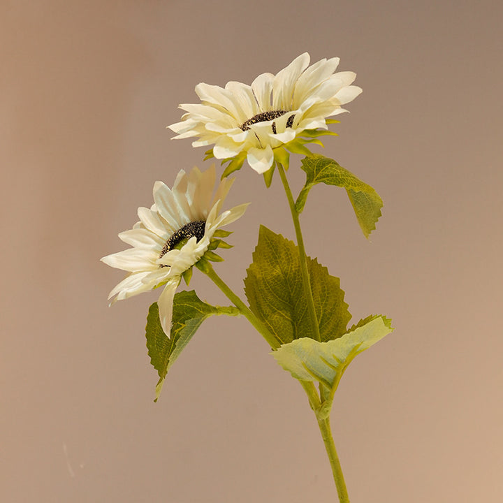 Decorative Sunflower