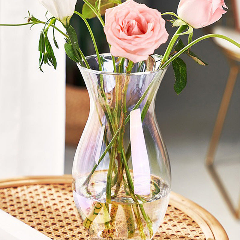 Elegant Glass Vase