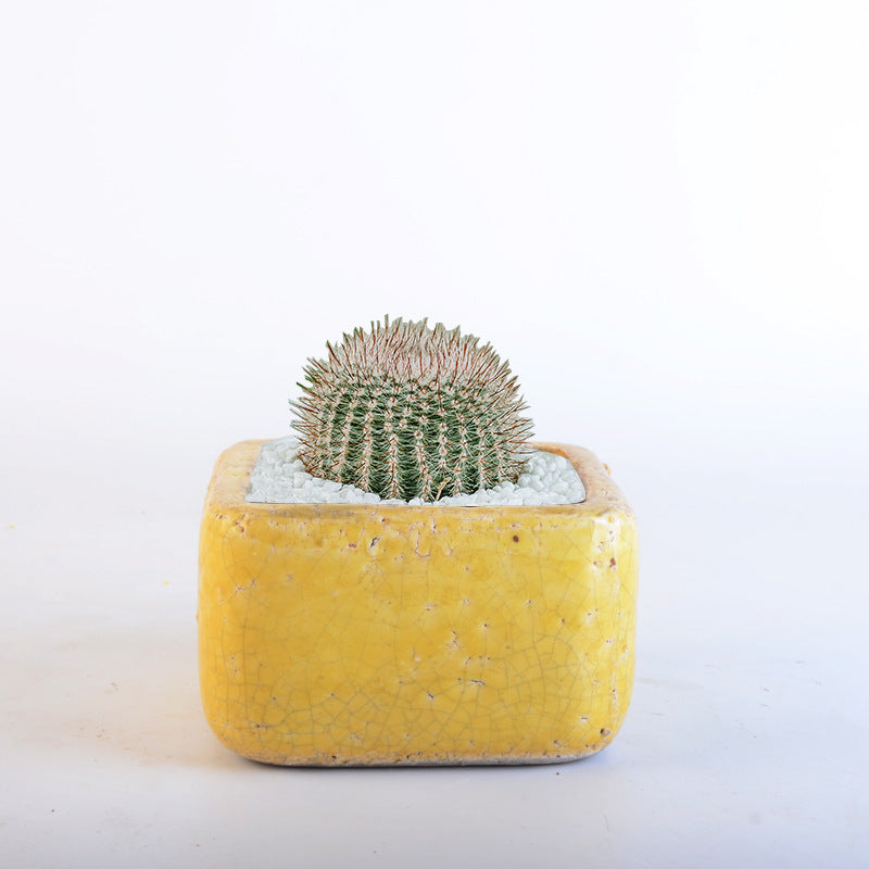 Deko Pot