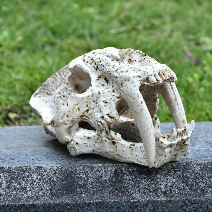 Decorative Animal Skull Figurine