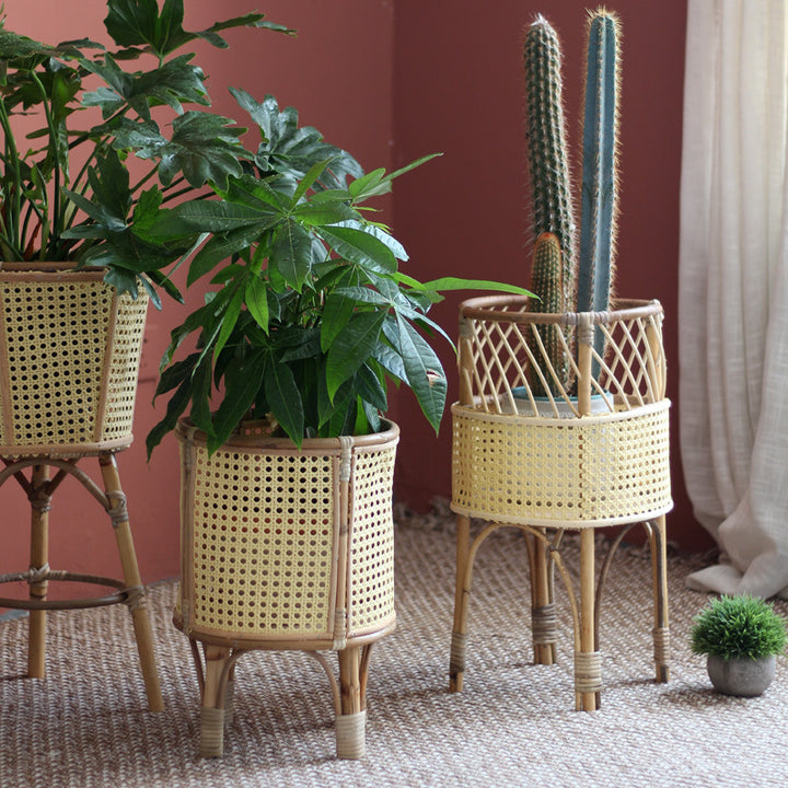 Stylish plant stand made of rattan