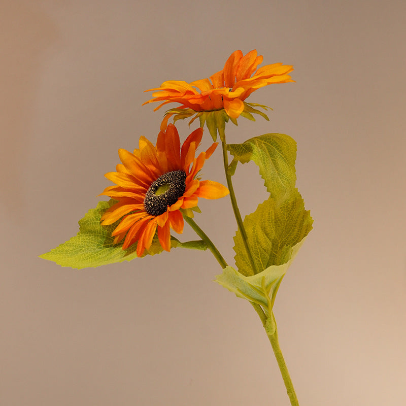 Decorative Sunflower