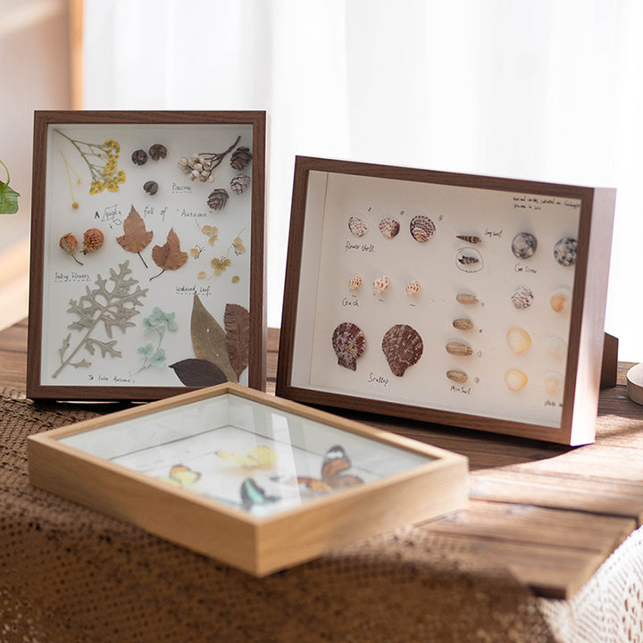 Decorative Framed Butterfly Art for Home