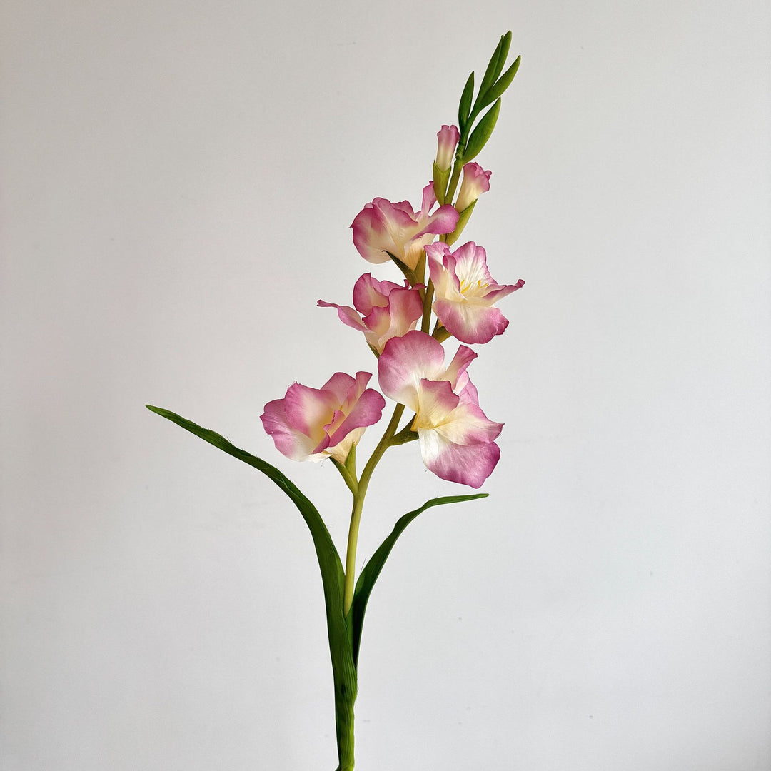 Elegant Gladiolus Floral Stem