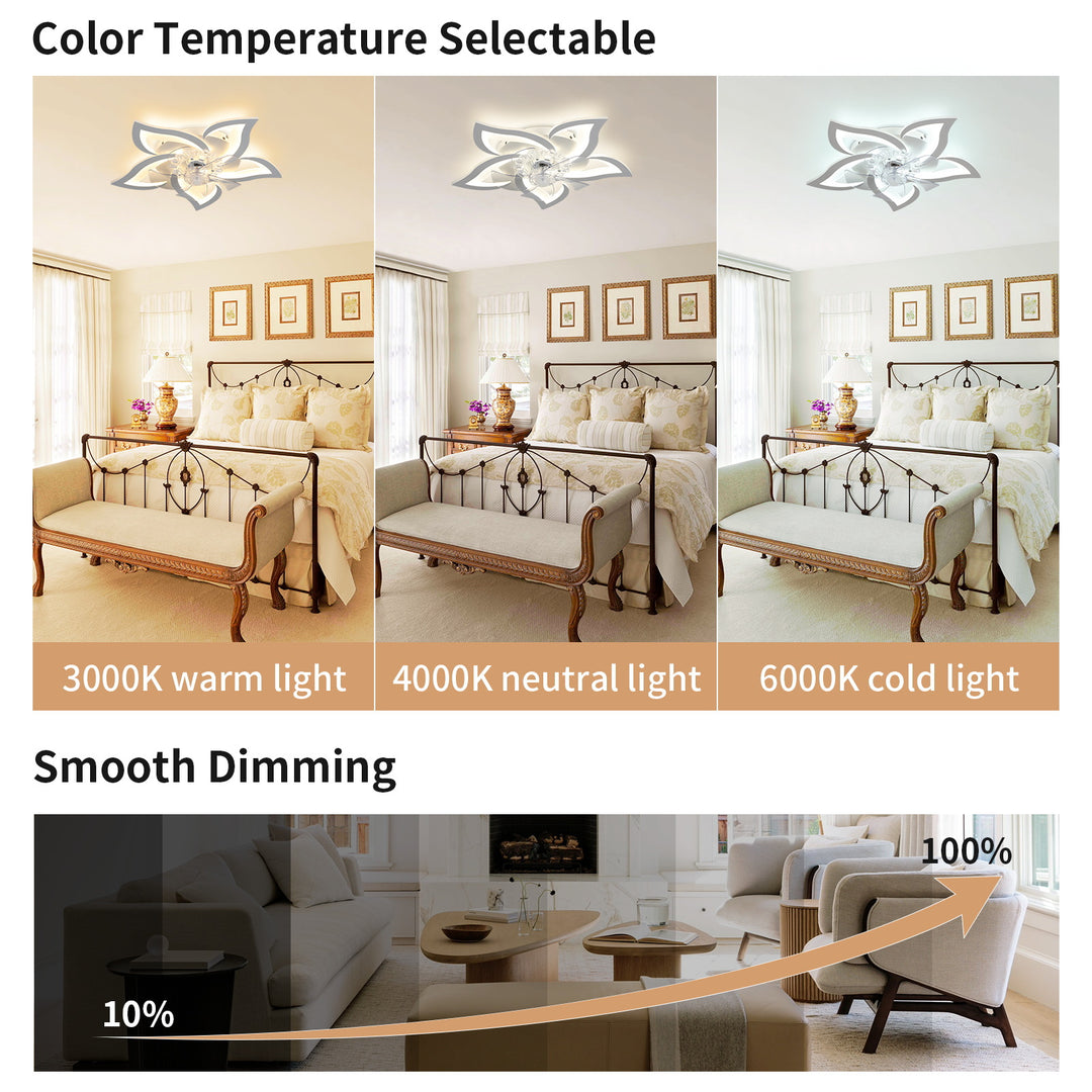 Modern ceiling fan