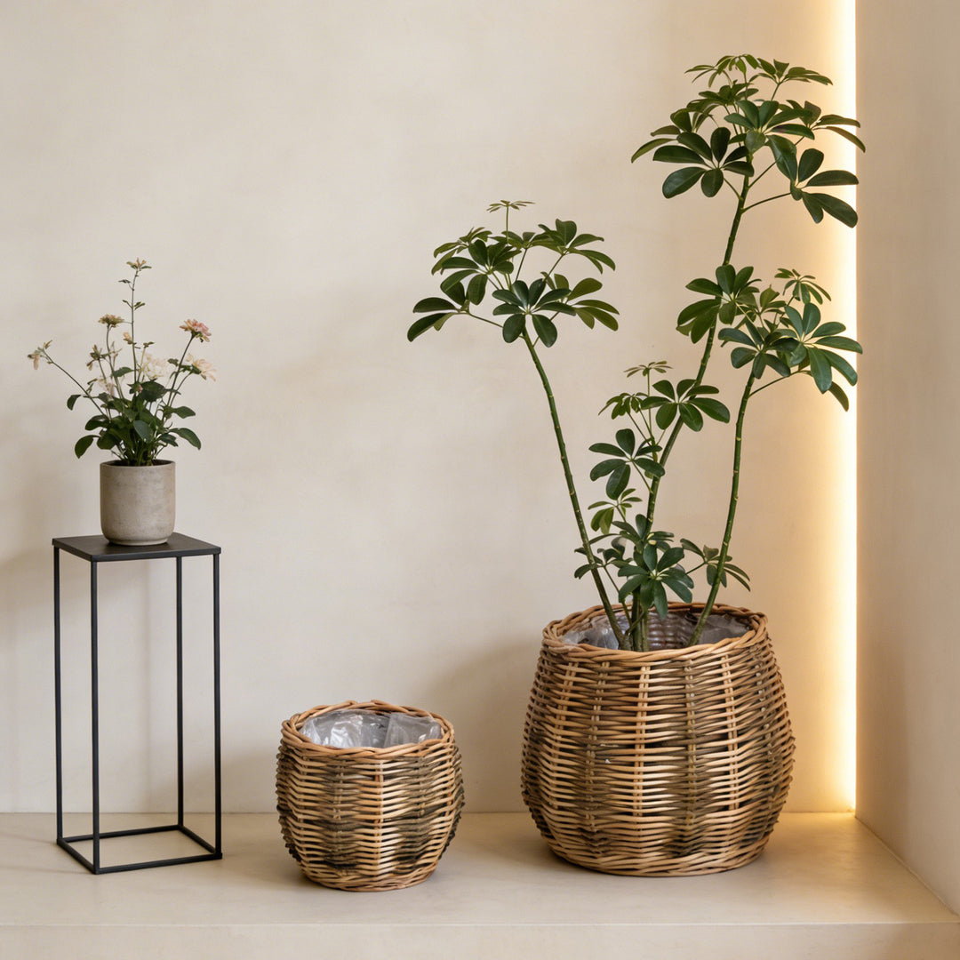 Handcrafted basket with natural flair