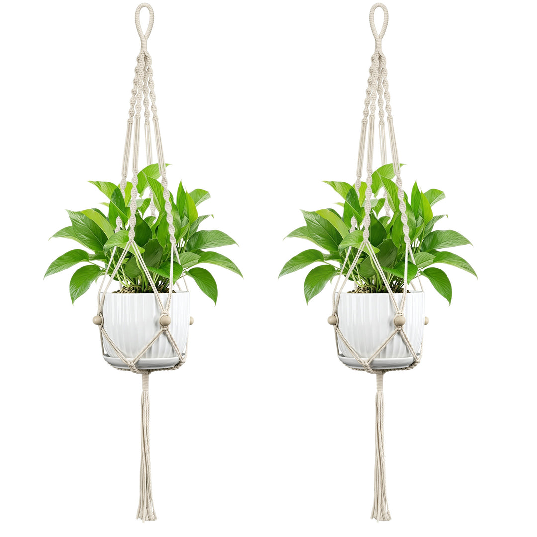 Plant Hanging Pot