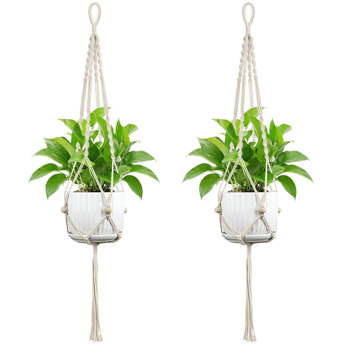 Plant Hanging Pot