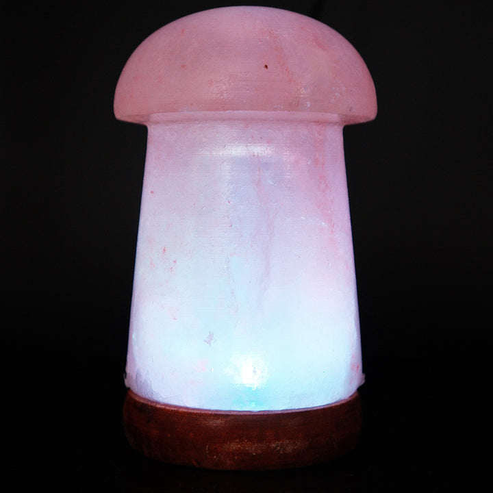Himalayan Salt Crystal Sphere Lamp with Color Changing LED and Natural Wood Base