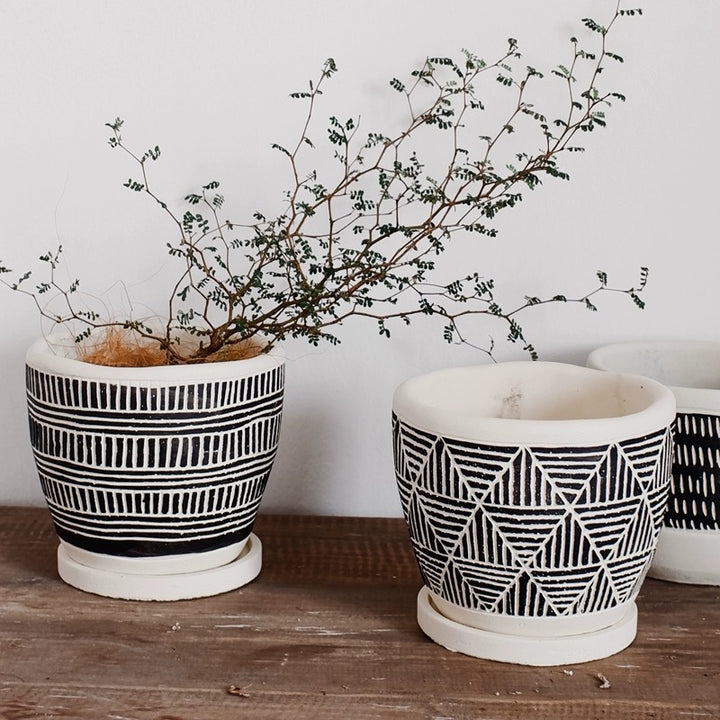 Avarnia Flower Pot Set