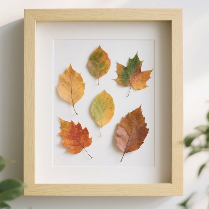 Framed Natural Leaf Art Display