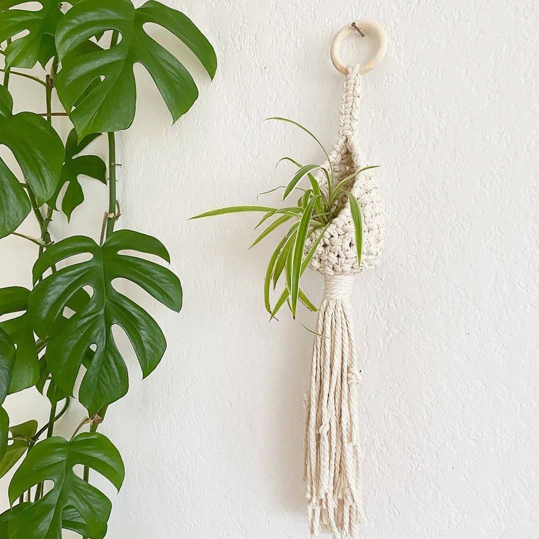 Bohemian Plant Holder