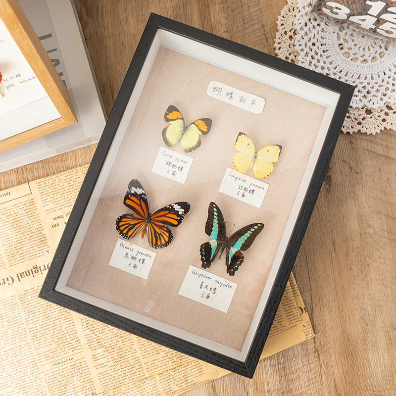 Shadow Box Display Frame