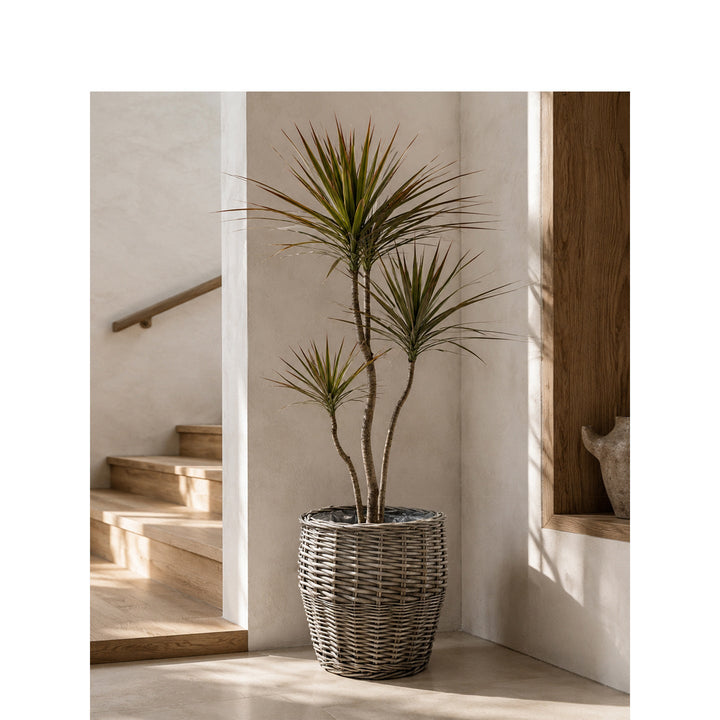 Decorative Laundry Basket