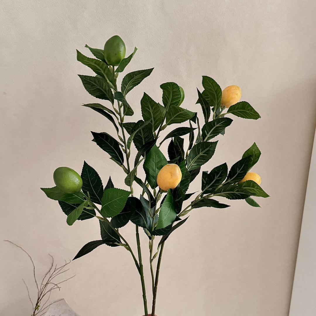Artificial Lime Branch