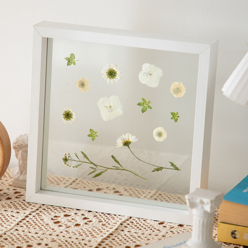 Elegant Pressed Flower Display Frame