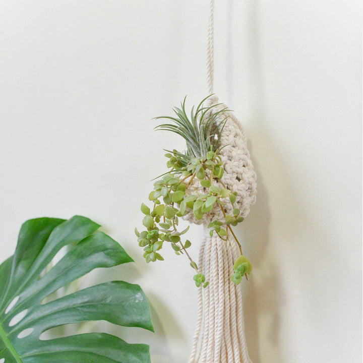 Macrame Hanging Plant Holder with Decorative Tassel