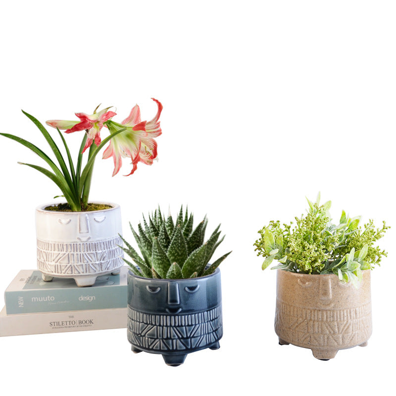 Decorative plant pot with facial features