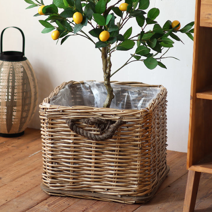 Laundry Basket