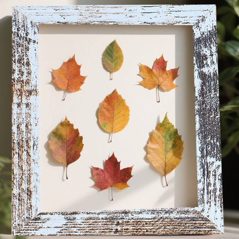 Framed Natural Leaf Art Display