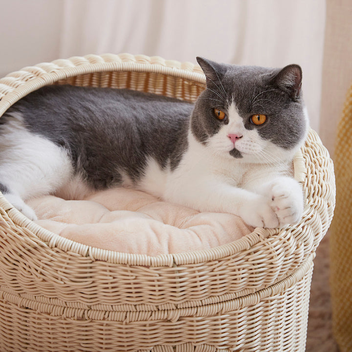 Cat bed