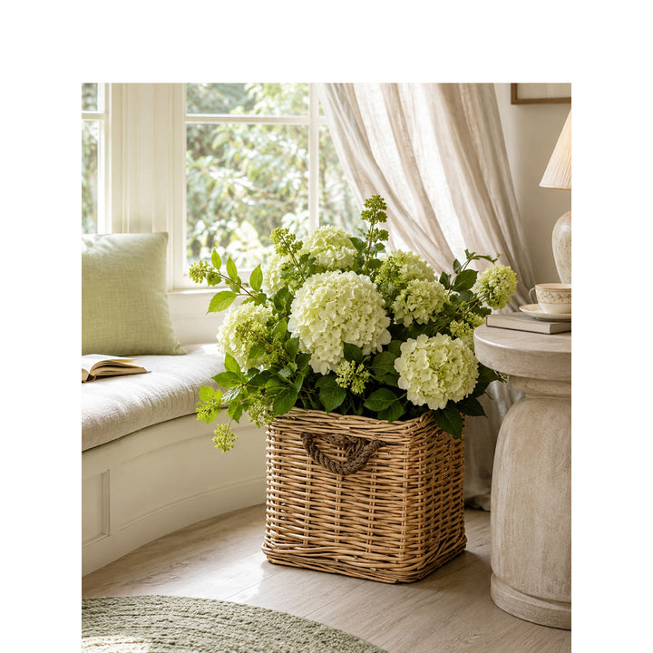 Robust storage basket with reinforced handles