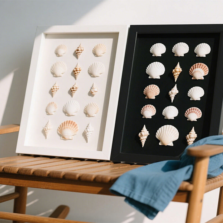 Decorative Shell Art Shadow Box