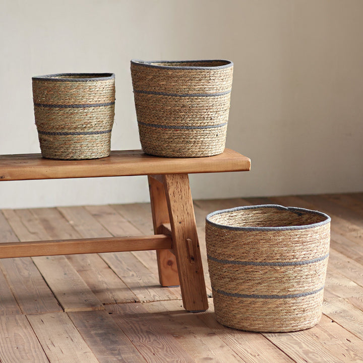 Plant basket