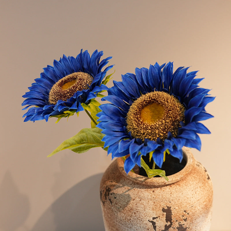 Decorative Plant