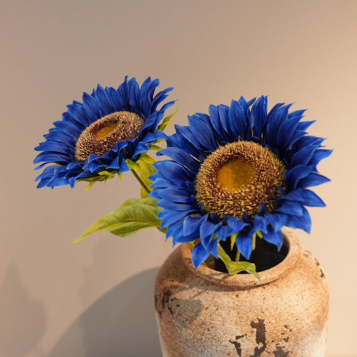Decorative Plant