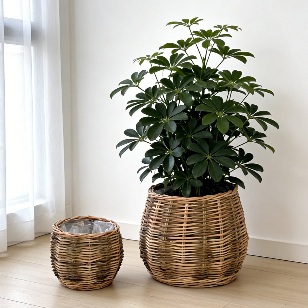 Handcrafted basket with natural flair