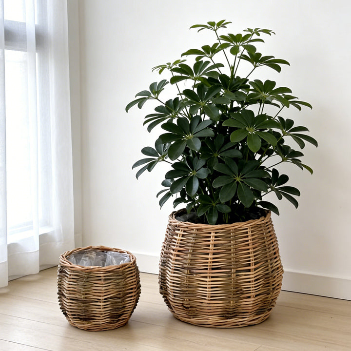 Handcrafted basket with natural flair