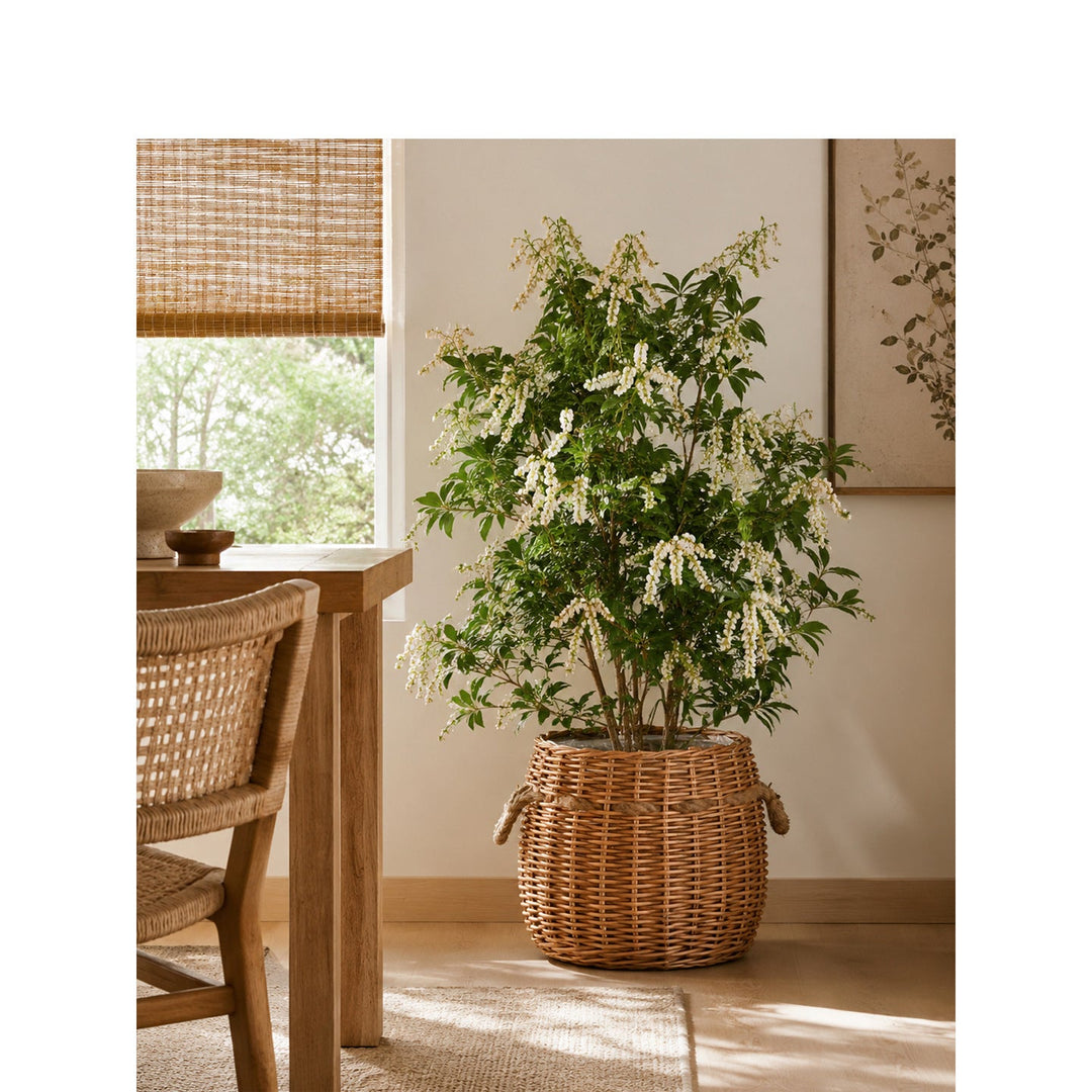 Storage basket