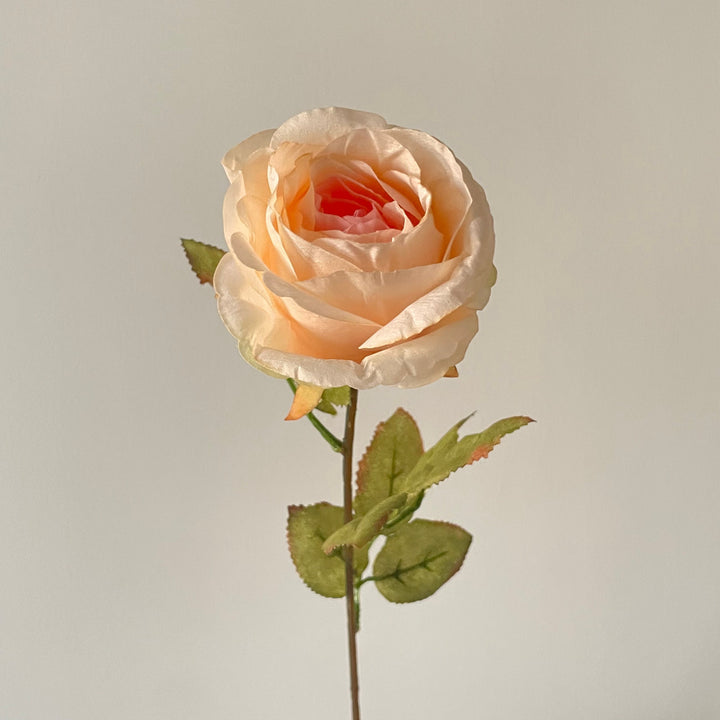 Realistic Decorative Rose Stem