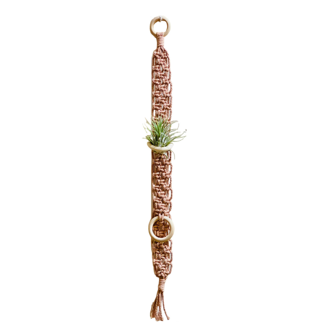 Macrame Wall Plant Holder