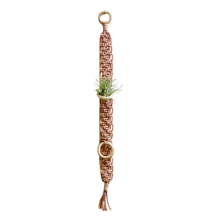 Macrame Wall Plant Holder