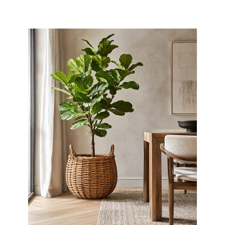 Basket for stylish storage
