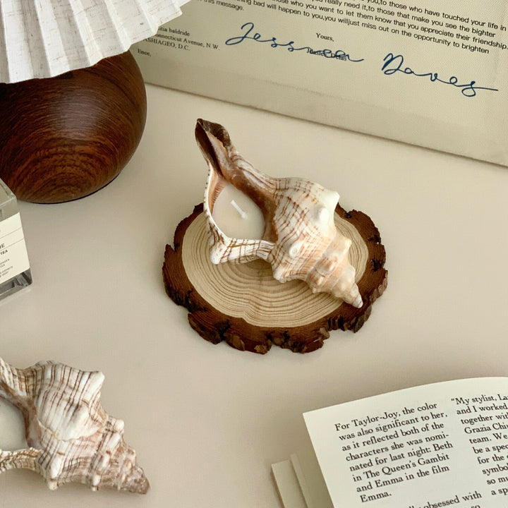 Decorative Shell