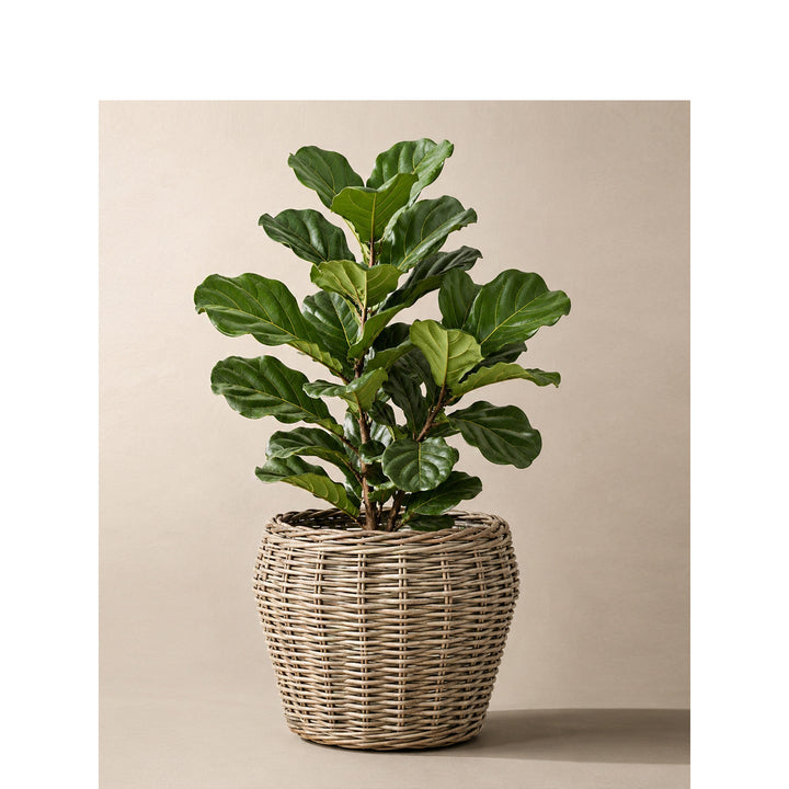 Decorative plant basket with plastic inner bag